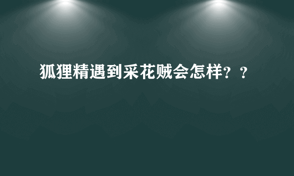 狐狸精遇到采花贼会怎样？？