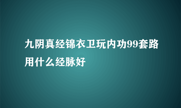 九阴真经锦衣卫玩内功99套路用什么经脉好