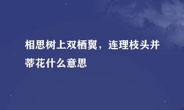 相思树上双栖翼，连理枝头并蒂花什么意思