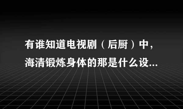 有谁知道电视剧（后厨）中，海清锻炼身体的那是什么设备，影响资料在电视上播放，手里拿上手握器就可以的