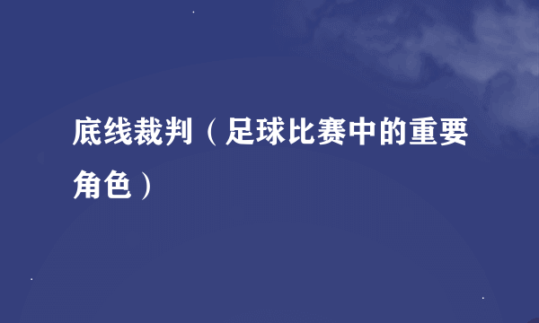 底线裁判（足球比赛中的重要角色）