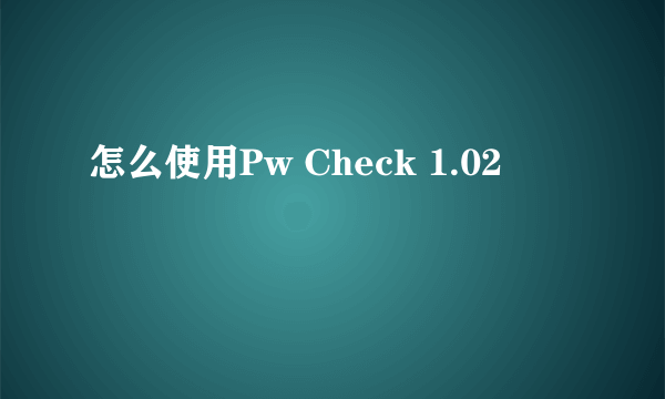 怎么使用Pw Check 1.02