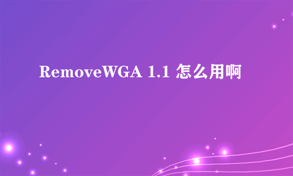 RemoveWGA 1.1 怎么用啊