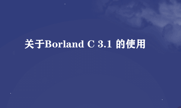 关于Borland C 3.1 的使用