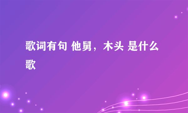 歌词有句 他舅，木头 是什么歌