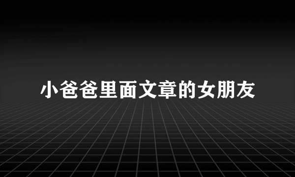 小爸爸里面文章的女朋友