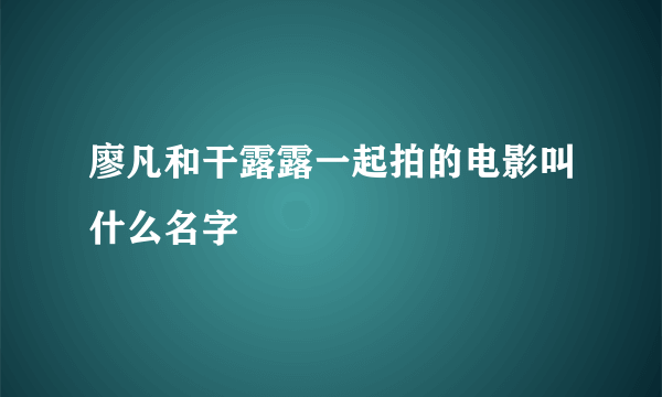 廖凡和干露露一起拍的电影叫什么名字