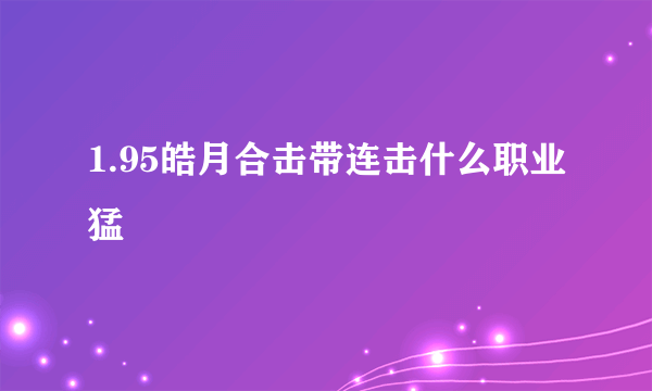 1.95皓月合击带连击什么职业猛