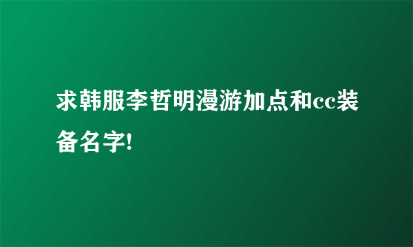 求韩服李哲明漫游加点和cc装备名字!