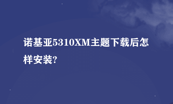 诺基亚5310XM主题下载后怎样安装?