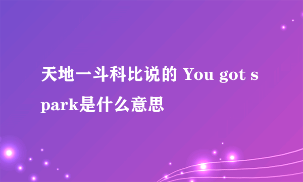 天地一斗科比说的 You got spark是什么意思