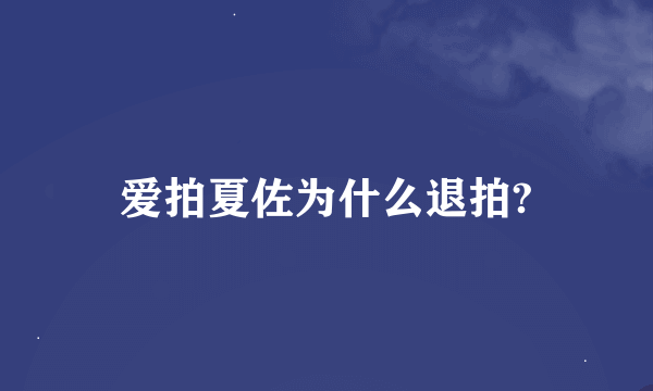 爱拍夏佐为什么退拍?