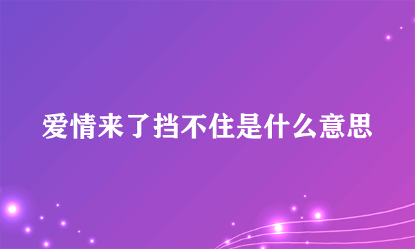 爱情来了挡不住是什么意思