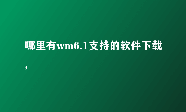 哪里有wm6.1支持的软件下载,