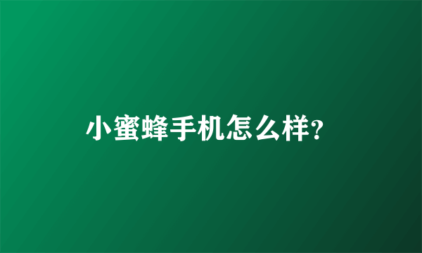 小蜜蜂手机怎么样？