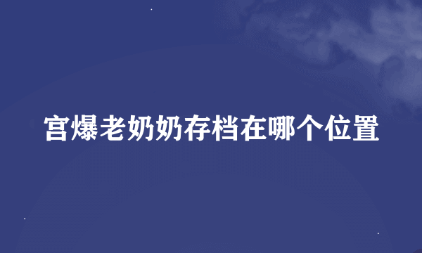 宫爆老奶奶存档在哪个位置