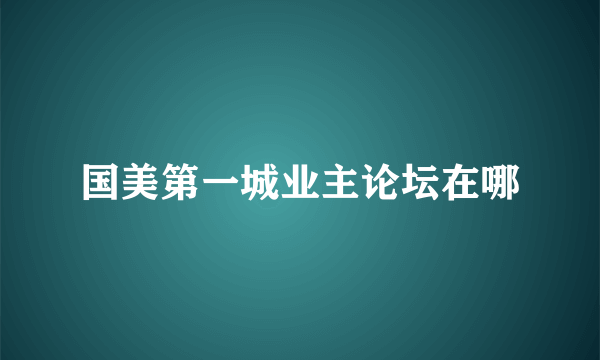 国美第一城业主论坛在哪