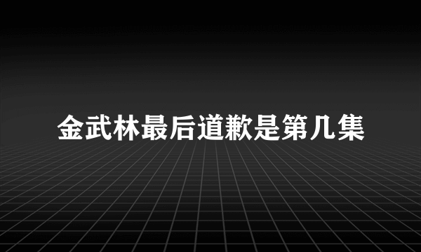 金武林最后道歉是第几集