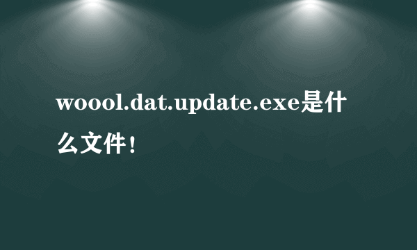 woool.dat.update.exe是什么文件！