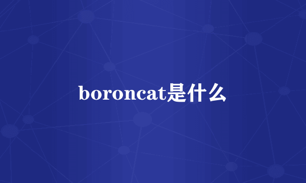 boroncat是什么