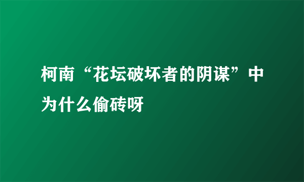 柯南“花坛破坏者的阴谋”中为什么偷砖呀