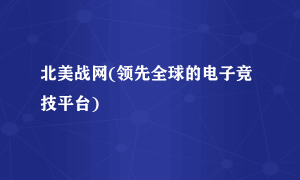 北美战网(领先全球的电子竞技平台)