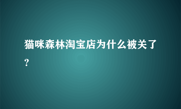 猫咪森林淘宝店为什么被关了?