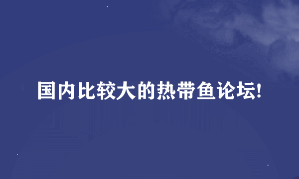 国内比较大的热带鱼论坛!