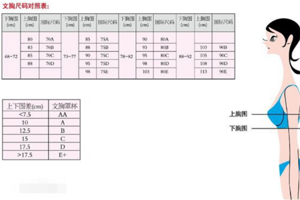 文胸32，34 36，38，40，42都是多大的尺码