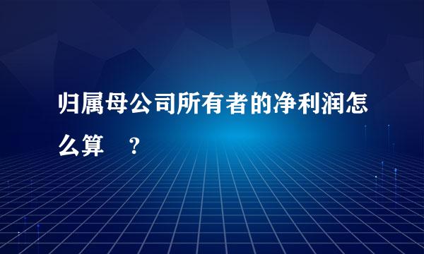 归属母公司所有者的净利润怎么算 ?