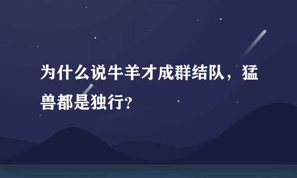 为什么说牛羊才成群结队，猛兽都是独行？