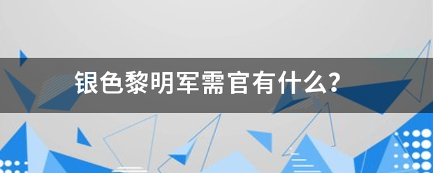 银色黎明军需官有什么？