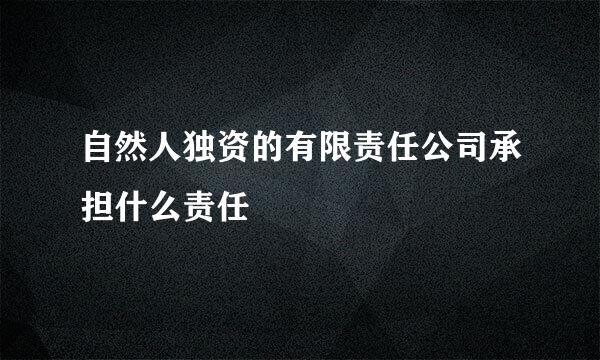 自然人独资的有限责任公司承担什么责任