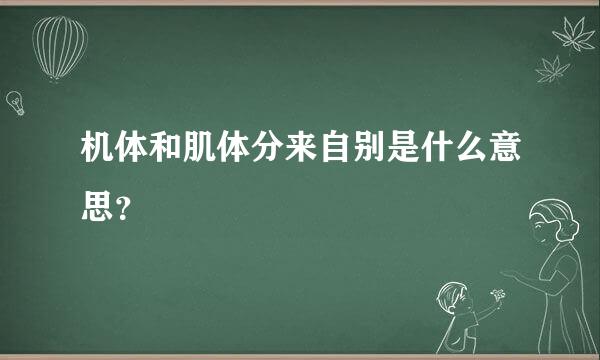 机体和肌体分来自别是什么意思？