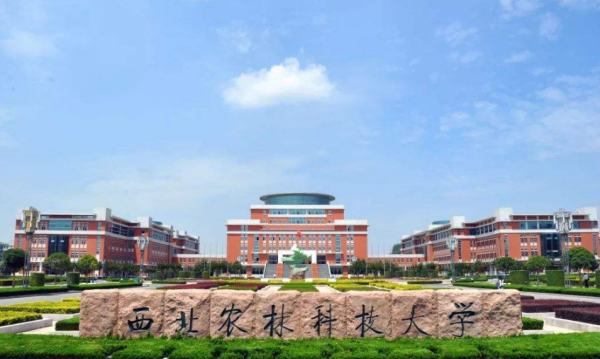 中国最大大学面积排名