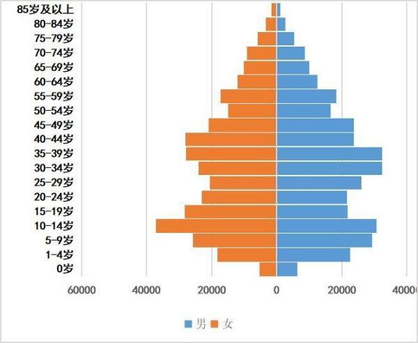 中来自国人口年龄分布情况是怎样的？