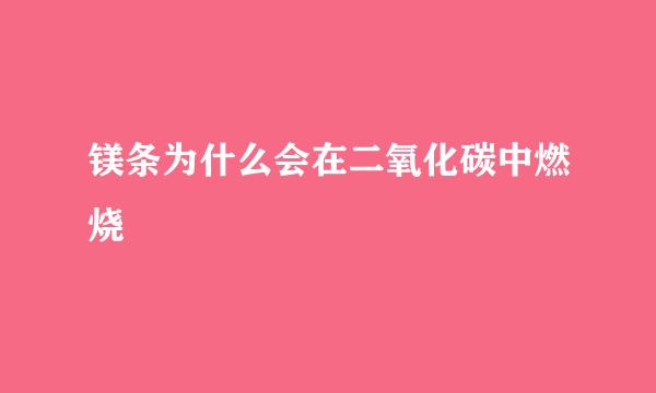 镁条为什么会在二氧化碳中燃烧