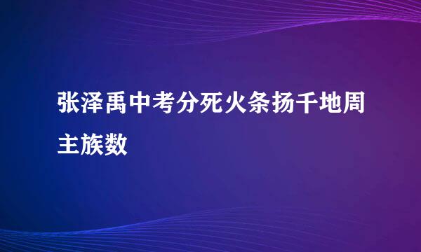 张泽禹中考分死火条扬千地周主族数