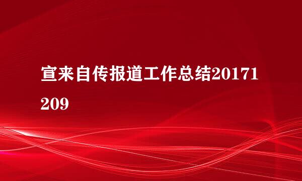 宣来自传报道工作总结20171209