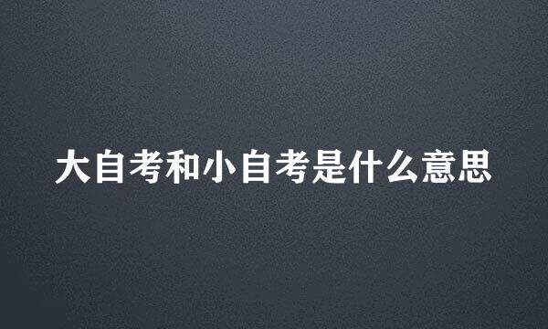 大自考和小自考是什么意思