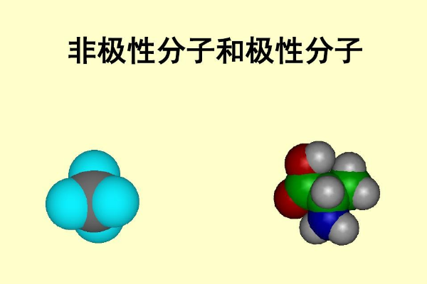 极性分子和非极性分子有什么区别