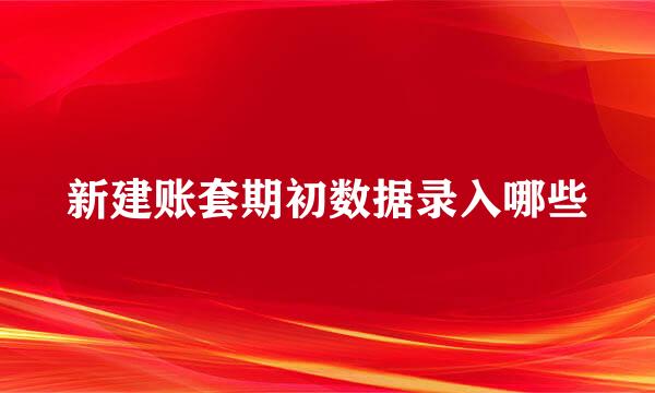 新建账套期初数据录入哪些