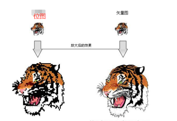 矢量图与位图来自的区别