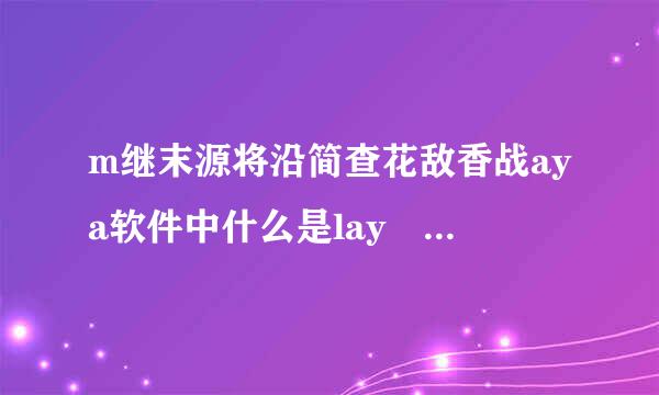 m继末源将沿简查花敌香战aya软件中什么是lay out?