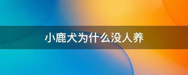 小鹿犬为台错紧胡来课什么没人养