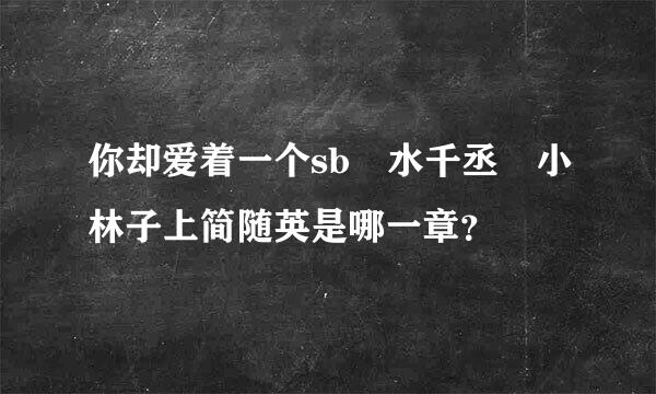 你却爱着一个sb 水千丞 小林子上简随英是哪一章？