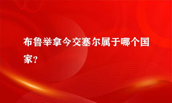 布鲁举拿今交塞尔属于哪个国家？