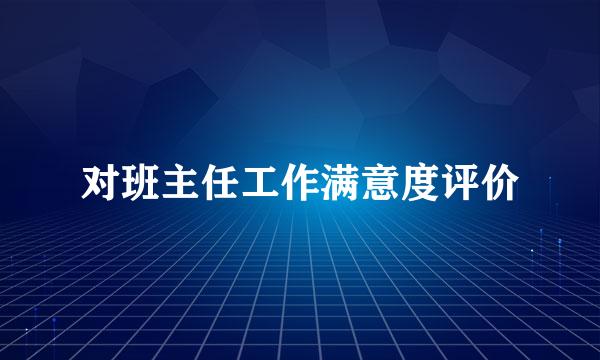 对班主任工作满意度评价