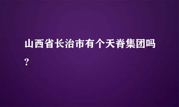 山西省长治市有个天脊集团吗？