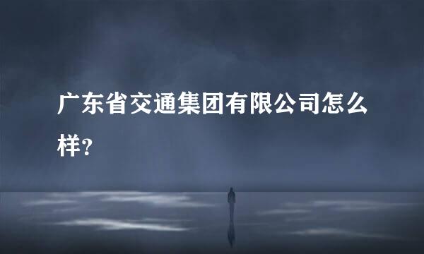 广东省交通集团有限公司怎么样？